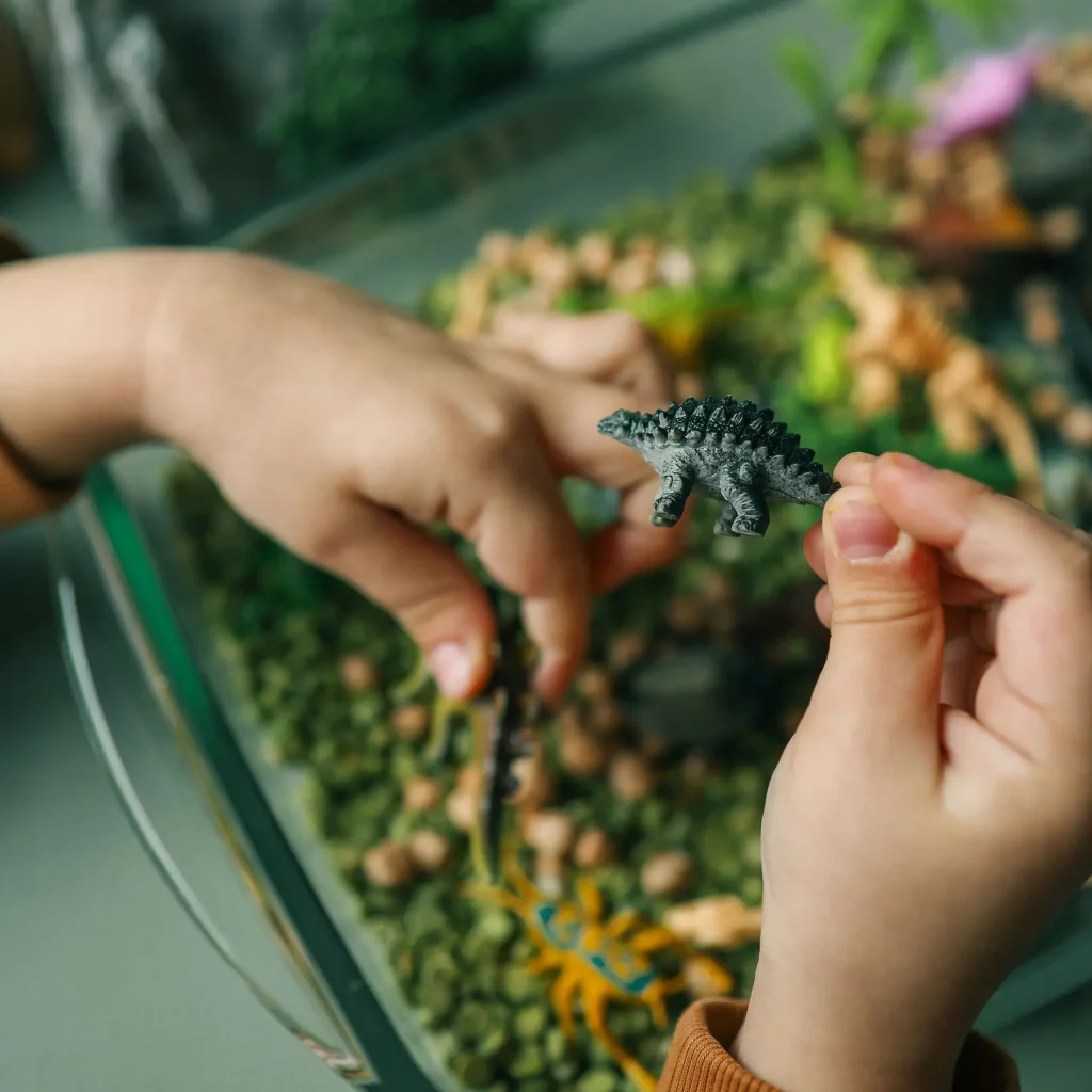 4K Modell Beispiele - Biologieunterricht